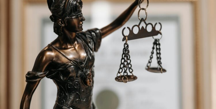 Law Commission of India: Key Functions